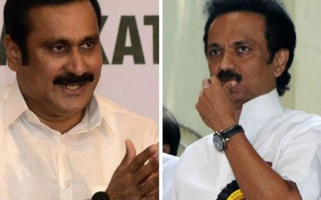 திமுக–பாமக கூட்டணி: தொகுதி பங்கீடு கருத்து வேறுபாடு