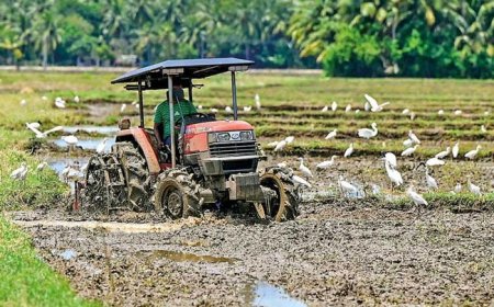 விவசாயிகளுக்கு QR கோட்டாவுக்கு வெளியே எரிபொருளை வழங்க முடிவு