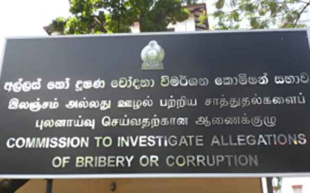 சொத்துக்கள் மற்றும் பொறுப்புகளை அறிவிப்பதற்கான செயல்முறை டிஜிட்டல் மயமாகிறது