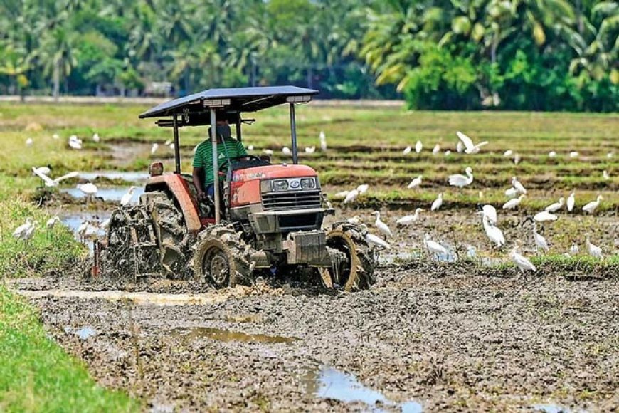 விவசாயிகளுக்கு QR கோட்டாவுக்கு வெளியே எரிபொருளை வழங்க முடிவு