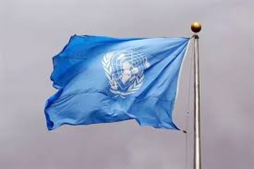 யாழ்  வருகை தருகின்ற ஐ.நா மற்றும் ஐரோப்பிய ஒன்றியப் பிரதிநிதிகள்