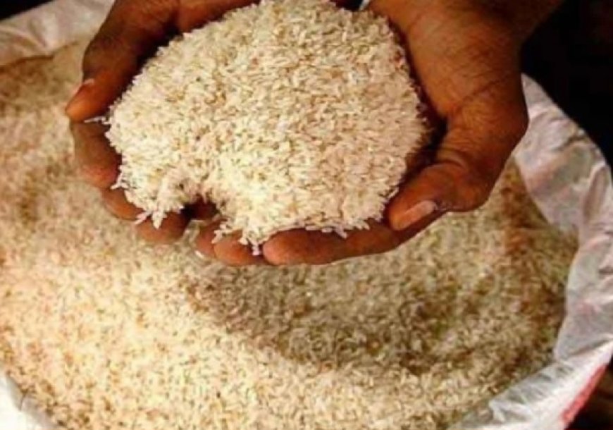 கீரி சம்பா, சம்பா அரிசி இறக்குமதி செய்ய தீர்மானம்