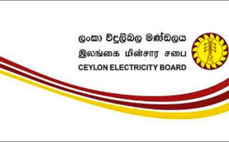 ஓய்வு பெற்ற மின்சார சபை ஊழியர்களுக்கு இழப்பீடு இல்லை – ஓய்வூதியச் சங்கம் கண்டனம்