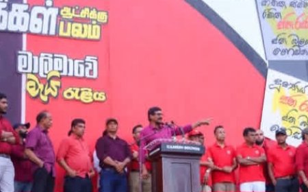 நிலக்கரி சர்ச்சைக்கு முற்றுப்புள்ளி: முன்று மாதங்களில் உண்மை வெளிச்சத்துக்கு– டில்வின் சில்வா