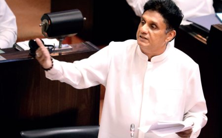 உள்நாட்டுத் தீர்வே நிலையானது  ஜெனிவாவால் பயனே இல்லை - சஜித் பிரேமதாஸ