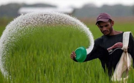 விவசாயிகளுக்கு மகிழ்ச்சி: உர மானியம் ஹெக்டேருக்கு ரூ.30,000 ஆக உயர்வு!